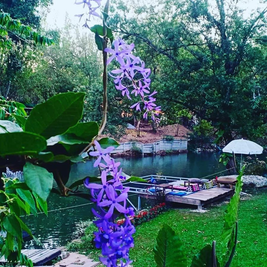 Brookhouse At Khaoyai Villa Ban Khanong Phra Klang Dış mekan fotoğraf